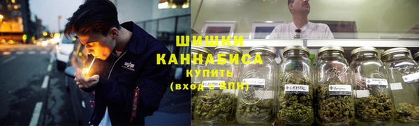 ГАЛЛЮЦИНОГЕННЫЕ ГРИБЫ Володарск