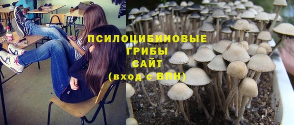 ГАЛЛЮЦИНОГЕННЫЕ ГРИБЫ Володарск